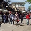 Tour 12: Darß - 1